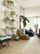Побутовий лінолеум Beauflor Soho Laurel Oak 116L 116L35 фото 2